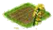 Рапс.png