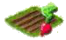 Редис.png