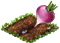 Репа.png