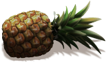 reward_04_pineapple.png