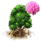 rhododendron_upgrade_0.png