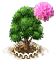 rhododendron_upgrade_1.png