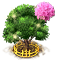 rhododendron_upgrade_2.png
