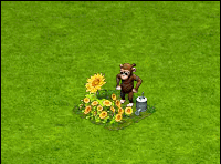 rowsalemay2018sunflower.gif