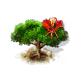 royalpoinciana_upgrade_0_big.png