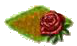 Роза.png
