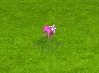 розовая коза.gif
