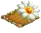 saguarocactus.png