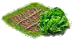 Салат.png