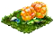 Шаровая ягода.png