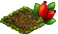 Шиповник.png