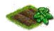 Шпинат.png