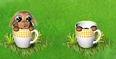 Скриншот 21.02.25_13.09.50 - Copia - Copia.png