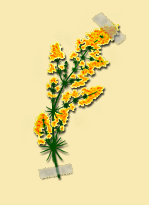 Скриншот 22.02.25_21.03.54.png