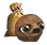 sloth_feed.png