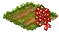 Смородина.png