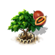 tamarillo_upgrade_1_big.png