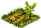 teff.png