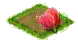 Тюльпан.png