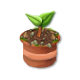 trainseedling_tree_may21_as.png