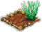 Трахиандра.png