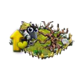 v2.png