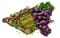 Виноград.png