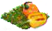 Хэбэнеро.png