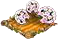 Хойя.png