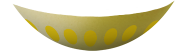 yellow5.png