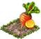 yellowbeet.png