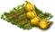 yellowpea.png