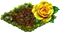 yellowrose.png
